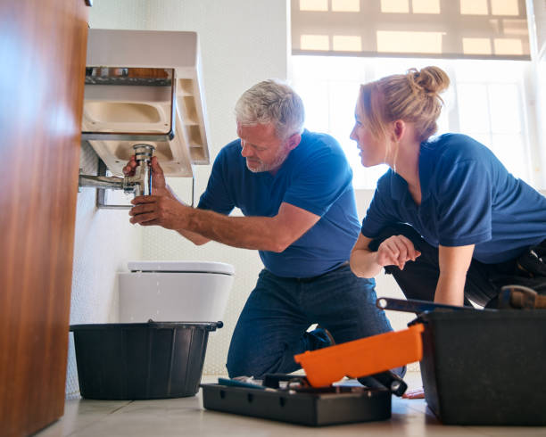 Best Affordable Plumber Near Me  in Cokato, MN